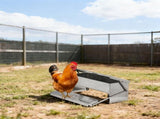 Treadle Chicken Feeder Rodent Proof No Waste, Large Capacity Chicken Grit and Oyster Shell Feeder 77808885