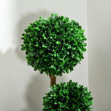 Artificial Plant/Green plants 23437048