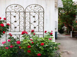 4 Pack Metal Garden Trellis 86.7" x 19.7" Rustproof Trellis for Climbing Plants Outdoor Flower W1586P243845