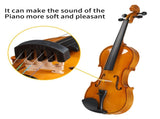 Full Size 4/4 Violin Set for Adults Beginners Students with Hard Case,Violin 08941007