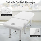 ZUN Professioanl Massage Table , Backrest Adjustable, Removable Headrest, Bottom Shelf Storage , Memory 12189383