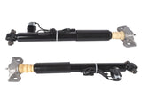 Pair Rear Left & Right Shock Absorber Struts Replacement for Lincoln MKZ 2013-2020 Gas Electric 36065809