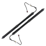 2Pcs Tailgate Hatch Lift Support Rear fit for Nissan Pathfinder 2017-2020 SKPL615064 19130028