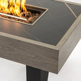 42_inch Iron Fire Pit Table Wood Fire Pit W3131P277178