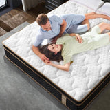 Twin Mattress, 10 Inch Plush Hybrid Mattresses with Gel Memory Foam, Fiberglass-Free Mattress in a B2716P318122