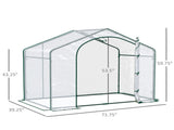 Mini Walk-in Greenhouse 58944988