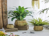 Set of 3 Metal Planter Distressed, L12x12x14" M9x9x11.5" S6.3x6.3x8.7" W2078P499531