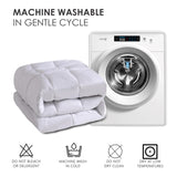 Two-pack of 100% polyester brushed single quilted comforters with microfiber filling, down 90757805