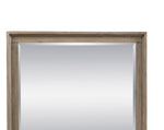 ZUN Mirror, No Assembly Required, Orchard Grey Finish B108P163866