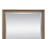 ZUN Mirror, No Assembly Required, Orchard Grey Finish B108P163866