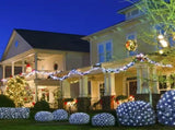 Warm tones outdoor solar mesh light, 6.6ft X 9.8ft fairy mesh light with 200 LEDs, 8 modes, suitable 96467221