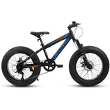 V20235 20 Inch Fat Tire Bike Adult 7 Speed Mountain Bike, Dual Disc Brakes, High Carbon Steel Frame, W709P285165