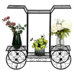 ZUN Paint Car Shape 6 Plant Stand Black 63180660