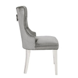 Erica 2 Piece Stainless Steel Legs Chair Finish with Velvet Fabric in Light Gray 808857825940