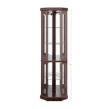 Corner Glass Cabinet Lighted Curio Cabinet Corner Display Case for Living Room, Curio Cabinet, W2275P194428