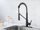 Matte Black Kitchen Single Handle Kitchen Sink with Pull Down Sprayer Utility Sink 48168484