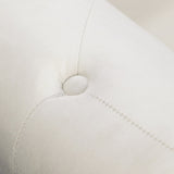 Beige Chaise Lounge Indoor,Velvet Lounge Chair for Bedroom with Storage & Pillow,Modern Upholstered W1170100896