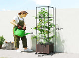 Raised Garden Bed 69326562