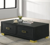 ZUN 1pc Contemporary Coffee Table Storage Drawers Black Gold Finish Metal Pull Knob Living Room Wooden B011P245404