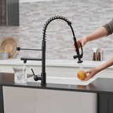 ZUN Commercial Kitchen Faucet with Pull Down Sprayer, Single Handle Single Lever Kitchen Sink Faucet W1932P155962