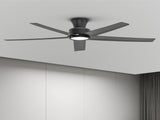 52 inch Ceiling Fans with Lights, Large Air Volume Ceiling Fans with Reversible Quiet DC Motor and 00384247
