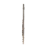 Nickel Plated C Closed Hole Concert Band Flute with E Key 00240637