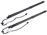 Pair Rear Electric Tailgate Gas Strut Fits for Hyundai Santa Fe Sport Base Sport Utility 2.0L 2.4L 22880587