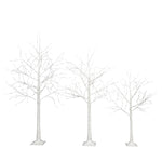 ZUN Set of Lighted Birch Tree, 4FT 48 LED/5FT 72 LED/6FT 96 LED Artificial Tree with Warm White Lights, N710P181843Y