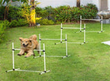 Dog agility training equipment 09757927