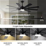 ZUN Mordern Farmhouse 62 In Black Ceiling Fan with Smart App and Remote Control W1367141498