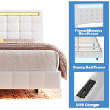 ZUN Queen Size Floating Bed Frame with LED Lights and USB Charging,Modern Upholstered Platform LED Bed WF308894AAK