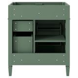 ZUN 30'' Bathroom Vanity without Top Sink, Modern Bathroom Storage Cabinet with 2s and a Tip-out WF316721AAF