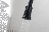 Kitchen Faucet with Pull Out Spraye W928101067