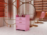 Locking Beauty Salon Storage Cabinet Hair Dryer Holder Stylist Equipment Drawer W33163017
