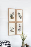 S/4 Bird Framed Print, 15.5x23.5" W2078P205314