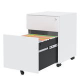 ZUN 2 Drawer Mobile File Cabinet with Lock Steel File Cabinet for Legal/Letter/A4/F4 Size, Fully W252125346