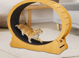Cat Wheel Exerciser for Indoor Cats, 43.3-inch Large Cat Exercise Wheel for Running Silent, Cat 07677177
