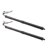 2Pcs Tailgate Hatch Lift Support Rear fit for Nissan Pathfinder 2017-2020 SKPL615064 19130028