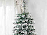 6ft Christmas Trees 94733564