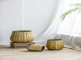 Set of 3 Metal Planter Distressed, L12x12x14" M9x9x11.5" S6.3x6.3x8.7" W2078P499531