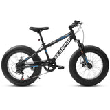 ZUN A20316 20 inch Fat Tire Bike Adult/Teen Full Shimano 7 Speed Mountain Bike, Dual Disc Brakes, High W709P185464