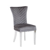 Eva 2 Piece Stainless Steel Legs Chair Finish with Velvet Fabric in Gray 733569236183