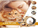 Cat Wheel 6-in-1 Cat Exercise Wheel,Upgraded Cat Wheel Exerciser for Indoor Cats,Large Cat 27068312