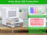 Small Household Dehumidifier for Bathroom Closet RV, RealTime Humidity Readout, 1.1L Tank Auto 84675922