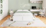 Wood Queen Size Platform Bed Frame with 6 Drawers, White N709P241723K