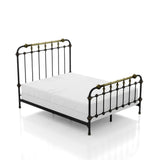 Transitional Style Antique Black Queen Size Bed Hand-brushed Antique Gold Accents 1pc Bedroom B2741P476062