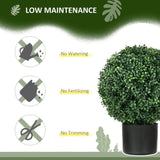 Artificial Plant/Green plants 81194799