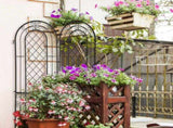 2 Pack 16" x 61" Rustproof Iron Garden Trellis 19656010