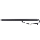 Fits for Hyundai Palisade 3.8L 2020-2022 Driver Left Trunk Lift Strut Shock 81831-S8100 38785499