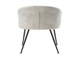 Beige Velvet Fabric Upholstery Side Chairs 2pc Set Black Metal Legs Modern Home Furniture B011P243653